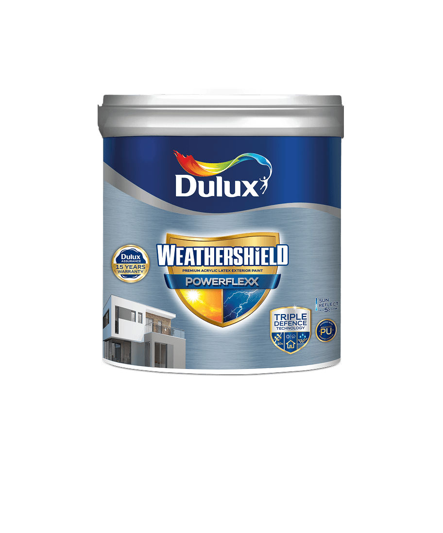 Paints for Finish and Surface Protection